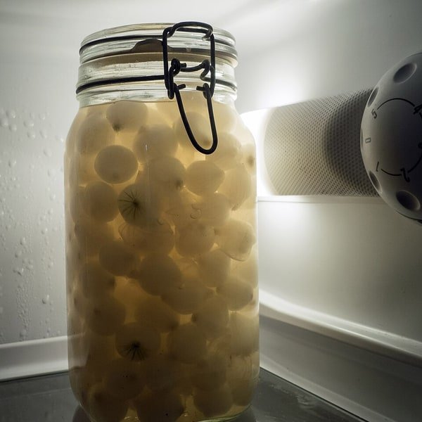 Pearl Onion Pack
