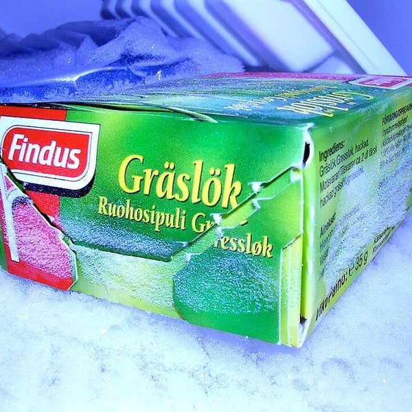 Fresh Chive Bundle