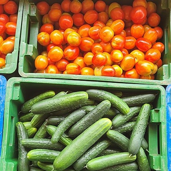 Baby Cucumber Pack