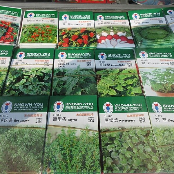 Spearmint Bundle