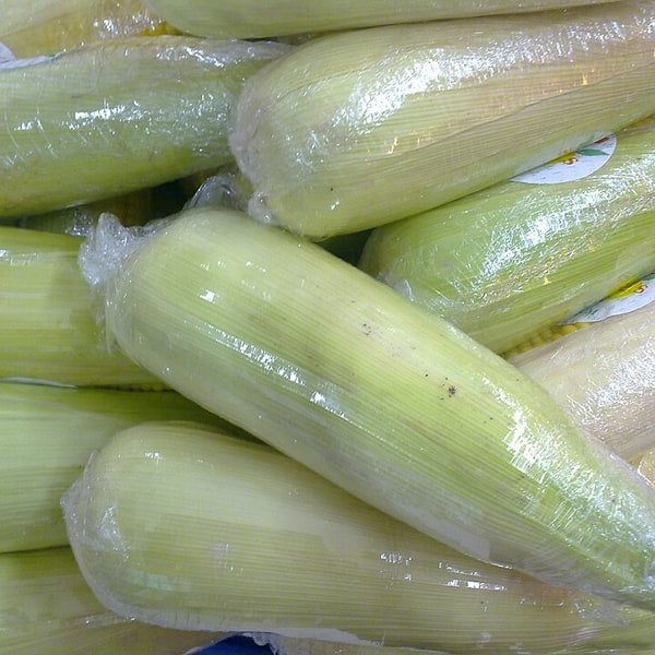 Baby Corn Tender